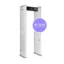Арочный металлодетектор RADARPLUS YZ IP65
